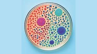 microbial detection techniques