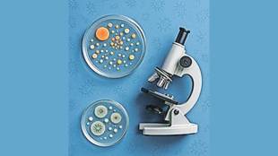 microbe exploration