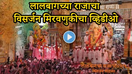 lalbaugcha raja visarjan video lalbaugcha raja ganpati visarjan viral video on social media google trends