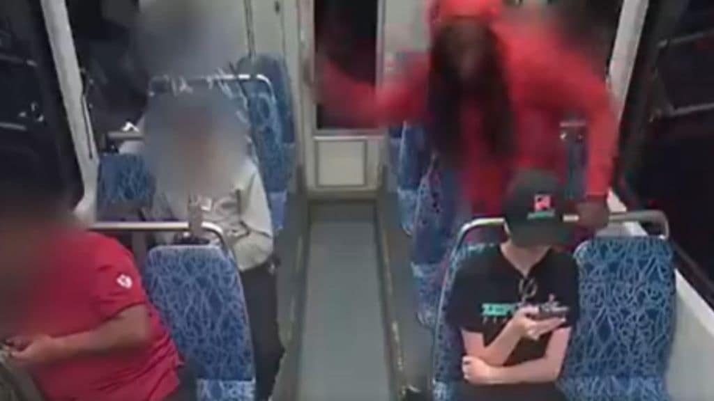 Ukrainian woman seeking safety in US stabbed to death in train horrible video goes viral