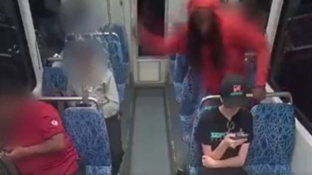 Ukrainian woman seeking safety in US stabbed to death in train horrible video goes viral