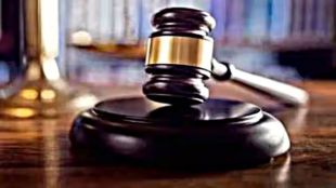 Calling husband paaltu chuha is cruelty: Chhattisgarh High Court in divorce case