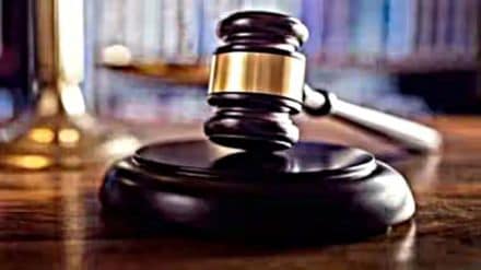 Calling husband paaltu chuha is cruelty: Chhattisgarh High Court in divorce case Calling husband paaltu chuha is cruelty: Chhattisgarh High Court in divorce case