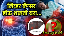 लिव्हर कॅन्सरपासून वाचवणार ‘हे’ १० रूपयाचं स्वस्त फळ; आता उपचार होईल सोप्पा; संशोधकांनी शोधली प्रभावी उपचारपद्धती