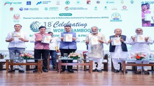 maharashtra bamboo mission devendra fadnavis announcement
