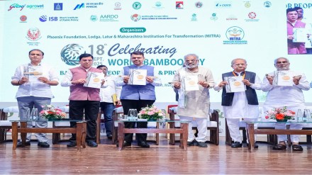 maharashtra bamboo mission devendra fadnavis announcement maharashtra bamboo mission devendra fadnavis announcement