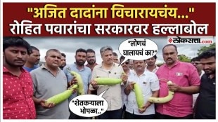 rohit pawar criticized mahayuti government over farmer issue