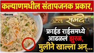 Cockroach found in fried rice at Ramdev Hotel in Kalyan