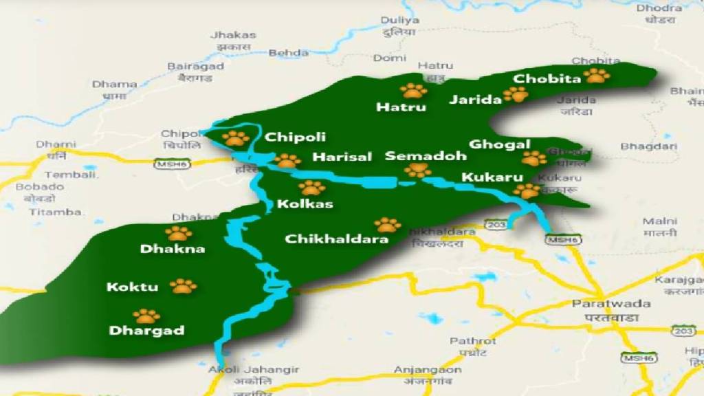 Why has human wildlife conflict increased in Melghat Tiger Reserve Amravati news