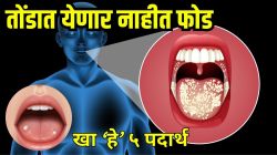 जीभ-ओठांवर वारंवार येतात फोड? ‘या’ व्हिटॅमिन्सच्या कमतरतेमुळे होतात त्रास, अल्सरवर ‘हे’ ५ पदार्थ देतील तुम्हाला झटपट आराम