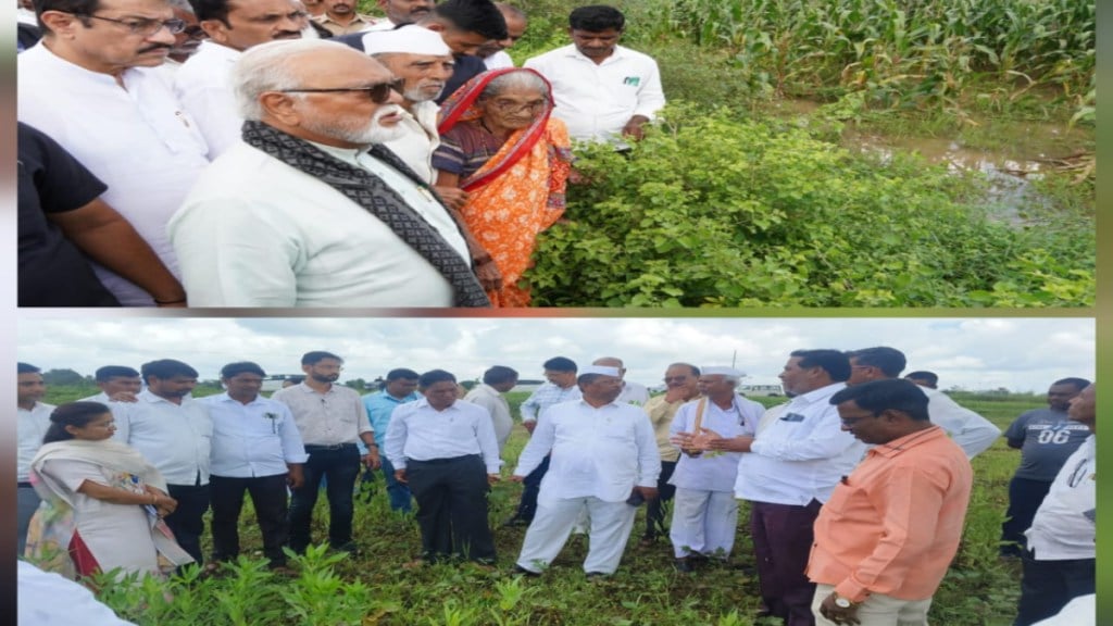nashik crop damage bhujbal and zirwal limit visits to constituencies