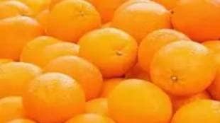orange processing center Vidarbha