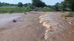 Parbhani Flood: गोदाकाठच्या गावांमध्ये पूरस्थिती कायम; अनेक गावांचा संपर्क तुटलेलाच, हजारो हेक्टर जमीन पाण्याखाली