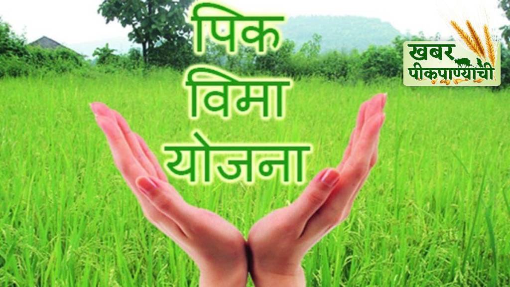 Who is responsible for the change in the criteria in the crop insurance scheme