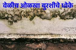 वेळीच ओळखा घरातील बुरशीचे धोके, नाही तर आरोग्यावरील होतील गंभीर परिणाम…