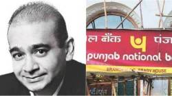 PNB scam : नीरव मोदीविरुद्ध खटल्यात मेहुणा माफीचा साक्षीदार
