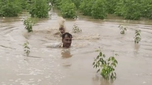 Sindkhed Raja heavy rains, Sindkhed Raja waterlogging, wet drought declaration Sindkhed Raja,