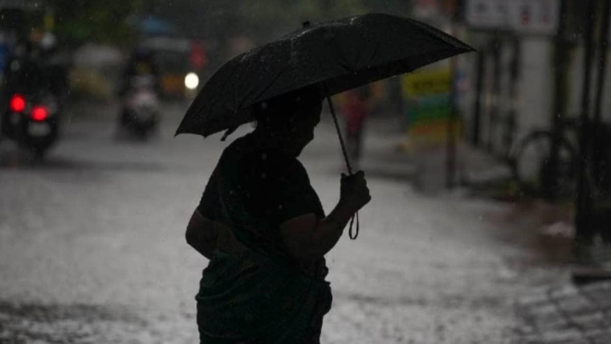 Rain Forecast : मुंबईत पुढील दोन – तीन दिवस हलक्या सरी… मध्य महाराष्ट्र, विदर्भात मेघगर्जनेसह पाऊस