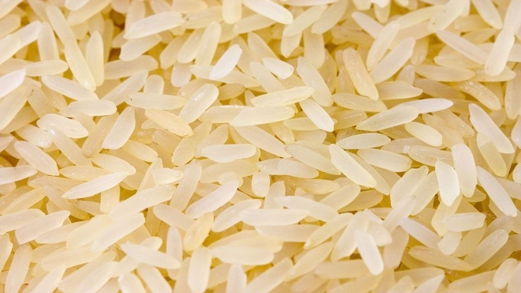 Tribal Development Corporation, bogus rice purchase case, Shahapur rice scam, tribal development fraud, fake rice purchase fraud,