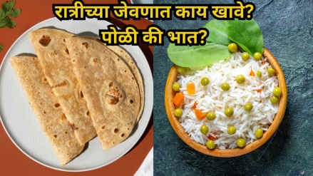 roti and rice