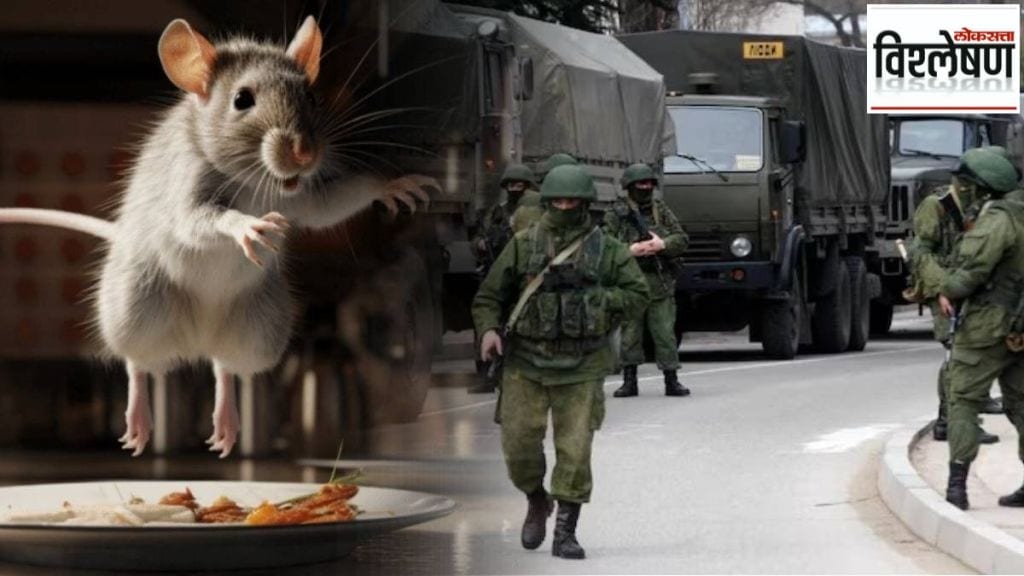 russia ukraine war hantavirus mouse fever