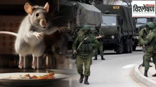 russia ukraine war hantavirus mouse fever
