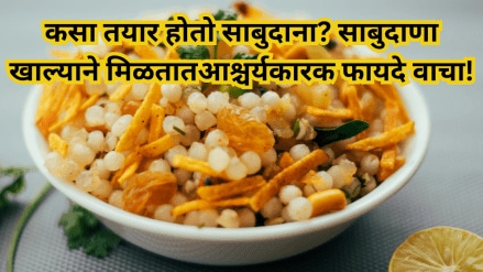 sabudana