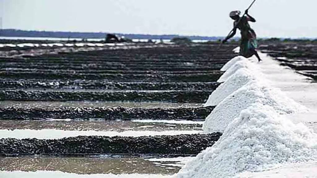 Salt producers refuse to give up saline land for Dahisar-Bhayander road