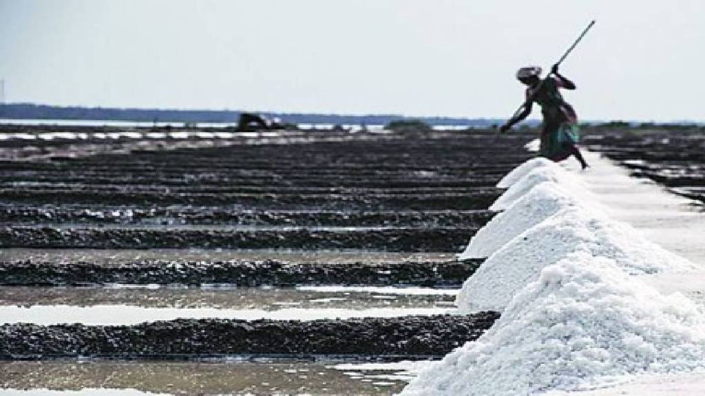 Salt pan lands transferred to state government