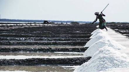 Salt pan lands transferred to state government