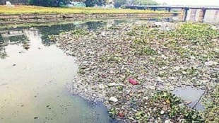 Sewage overflows in the area due to a burst sewer in the police colony in Shivajinagar pune print news