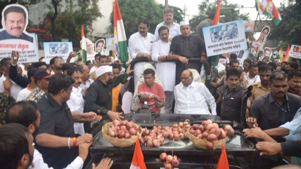 sharad pawar leads farmers protest march nashik demanding loan waiver onion export issue