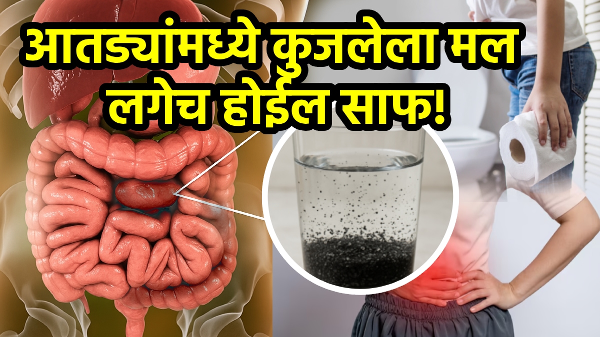 आतड्यांमध्ये कुजलेला मल लगेच होईल साफ! दररोज सकाळी पाण्यात मिसळा फक्त ‘ही’ गोष्ट; पोटातील सगळी घाण झटक्यात निघून जाईल…