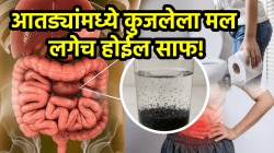 आतड्यांमध्ये कुजलेला मल लगेच होईल साफ! दररोज सकाळी पाण्यात मिसळा फक्त ‘ही’ गोष्ट; पोटातील सगळी घाण झटक्यात निघून जाईल…