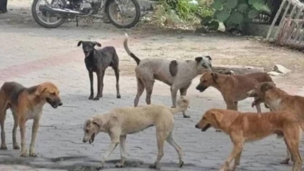   number of dogs has increased rapidly in Wada taluka