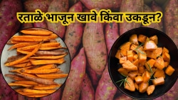 ऑक्टोबर ते डिसेंबरमध्ये रताळे का खावे? रताळे भाजून खावे किंवा उकडून, वाचा त्याचे फायदे