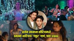 Video : आर्यन खानच्या सीरिजमध्ये तमन्ना भाटियाचं जबरदस्त आयटम साँग! एकत्र झळकले ३ खलनायक, मात्र आहे ‘असा’ ट्विस्ट