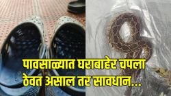 घराच्या बाहेर चपला ठेवत असाल तर सावधान! चपलेत लपून बसलेल्या सापाने चावा घेतल्यामुळं युवकाचा मृत्यू