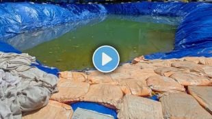 thane dengue malaria threat due to artificial ganesh immersion tanks ponds raises health risk