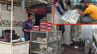 As Anant Chaturdashi ends, a large crowd of customers flock to buy non-vegetarian food