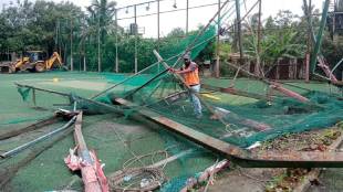 illegal turf cut in Yeur forest of Sanjay Gandhi National Park thane news
