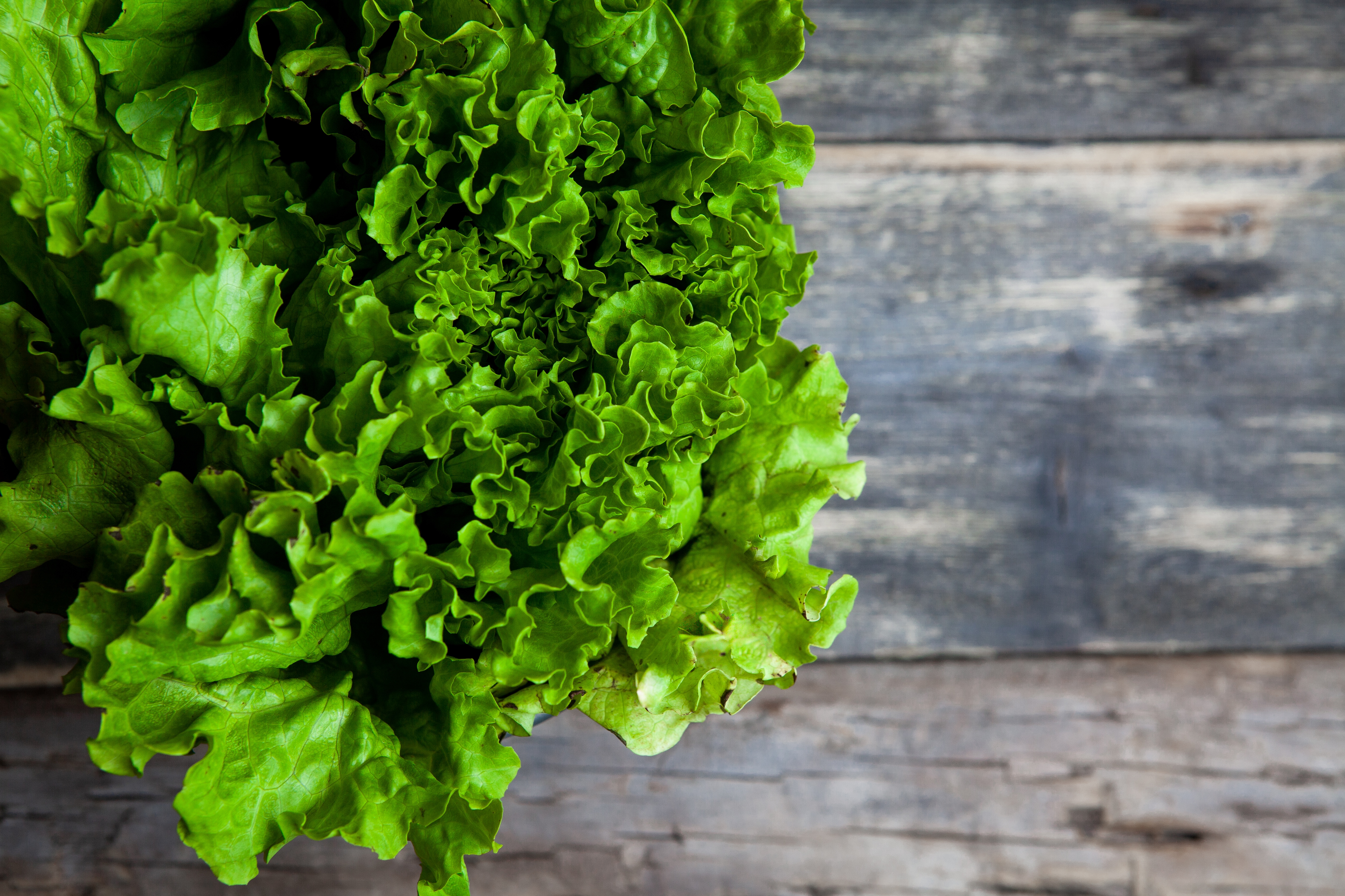 Lettuce benefits