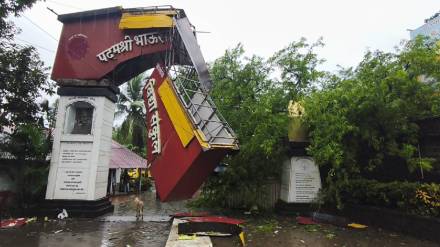 Tree falls on school arch in Virar