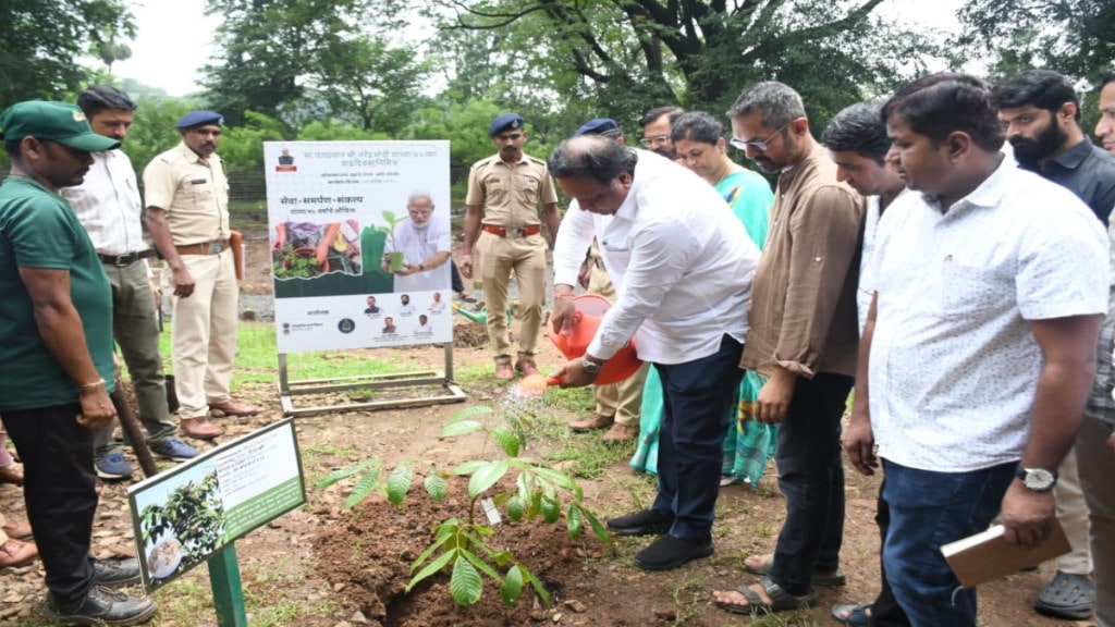 tree plantation at national park on pm birthday ashish shelar Mumbai