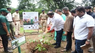 tree plantation at national park on pm birthday ashish shelar Mumbai