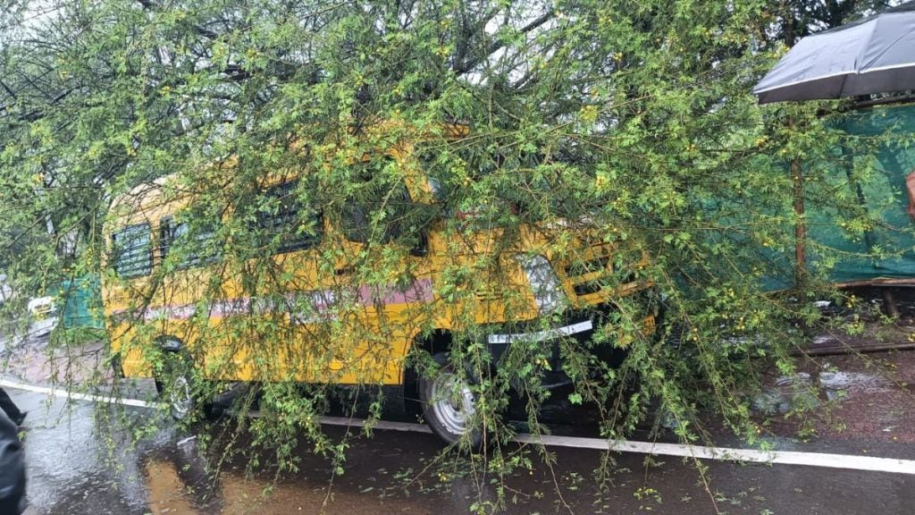 pune heavy rain dive ghat landslide trees fall traffic jam updates