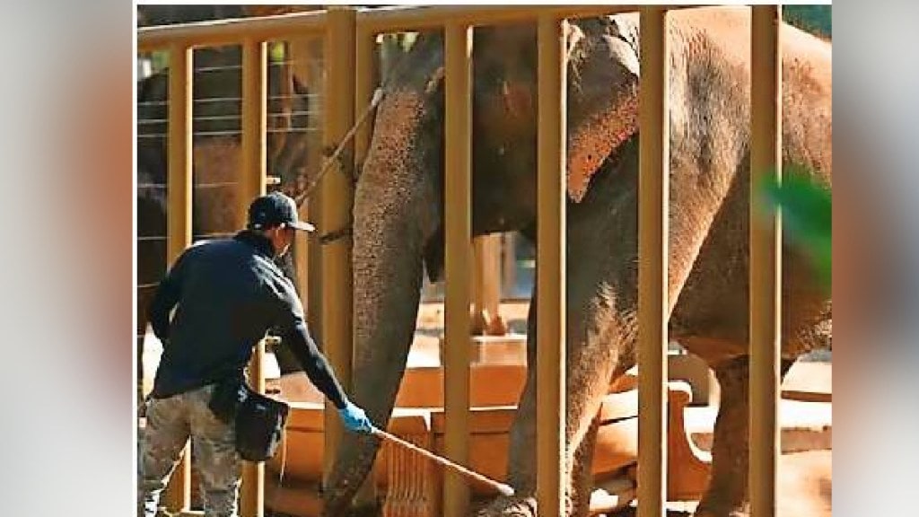 Vantara wildlife Jamnagar centre relief sit report submitted to supreme court