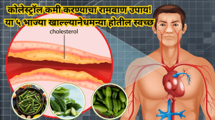 vegetables that lower cholesterol Heart arteries will be clean risk of heart attack will be reduced