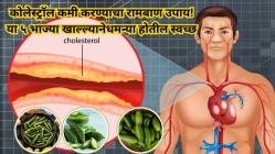 कोलेस्ट्रॉल कमी करण्याचा रामबाण उपाय! या ५ भाज्या खाल्ल्याने धमन्या होतील स्वच्छ, हार्ट अटॅकचा धोका कमी