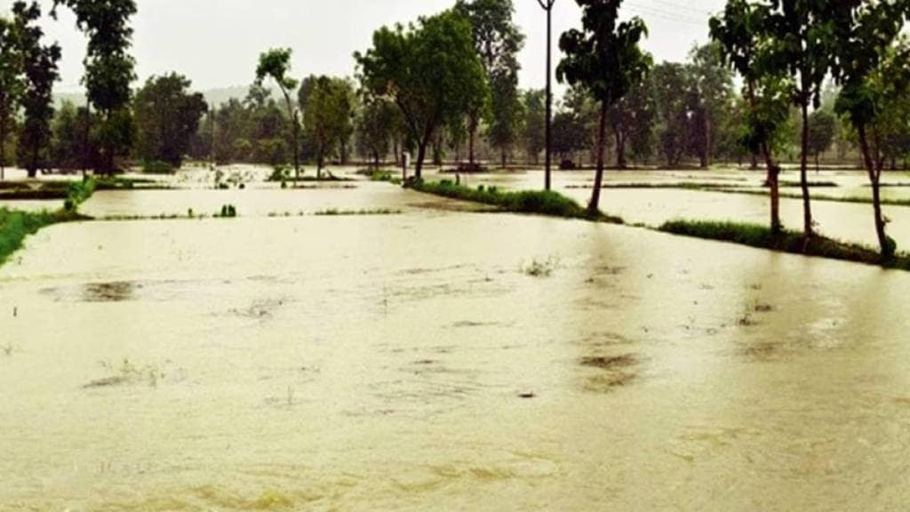 Vidarbha heavy rain